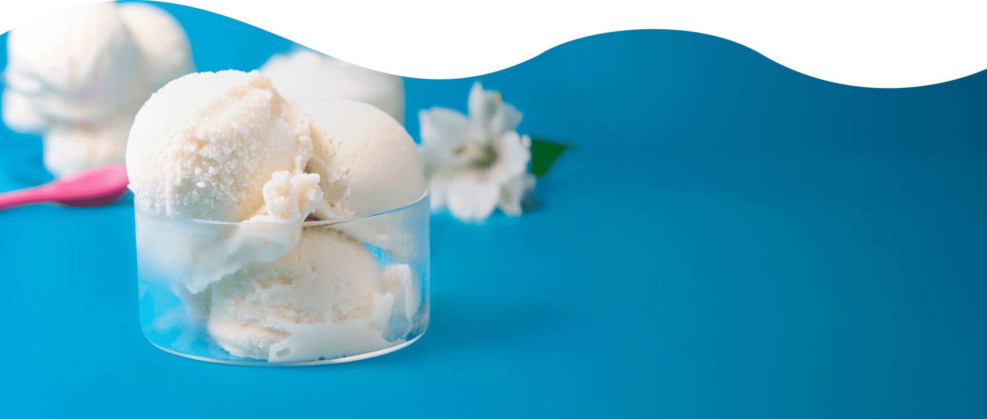 Wild About Mixmi Froyo